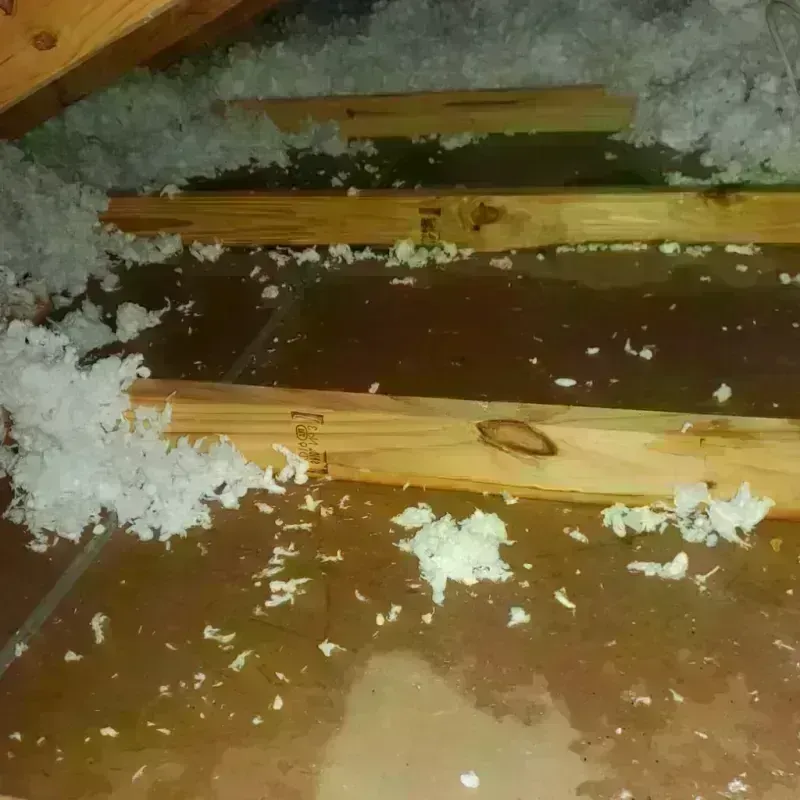 Attic Water Damage in Augusta, AR