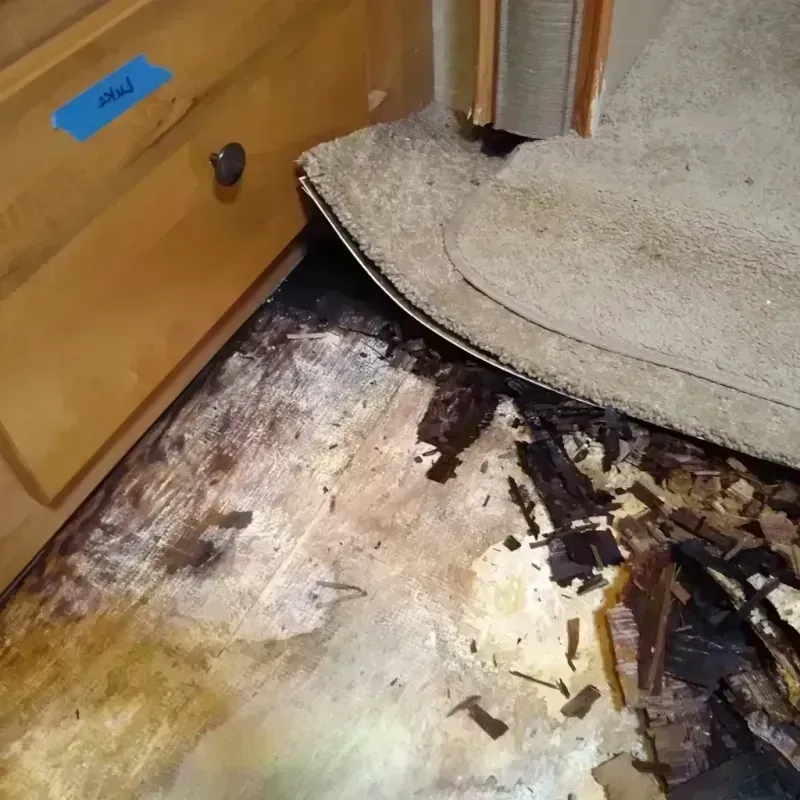 Wood Floor Water Damage in Augusta, AR